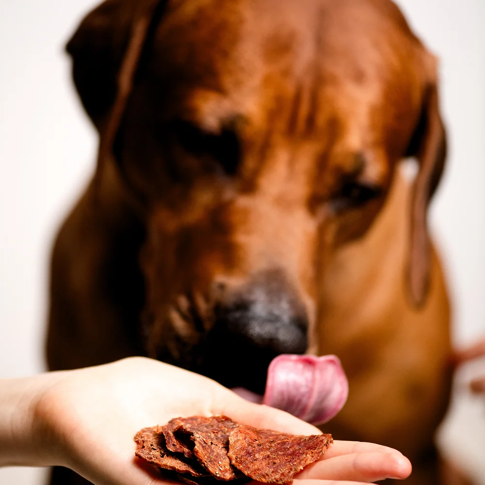 Ласощі для собак Mavsy Refined jerky 100 г - качка