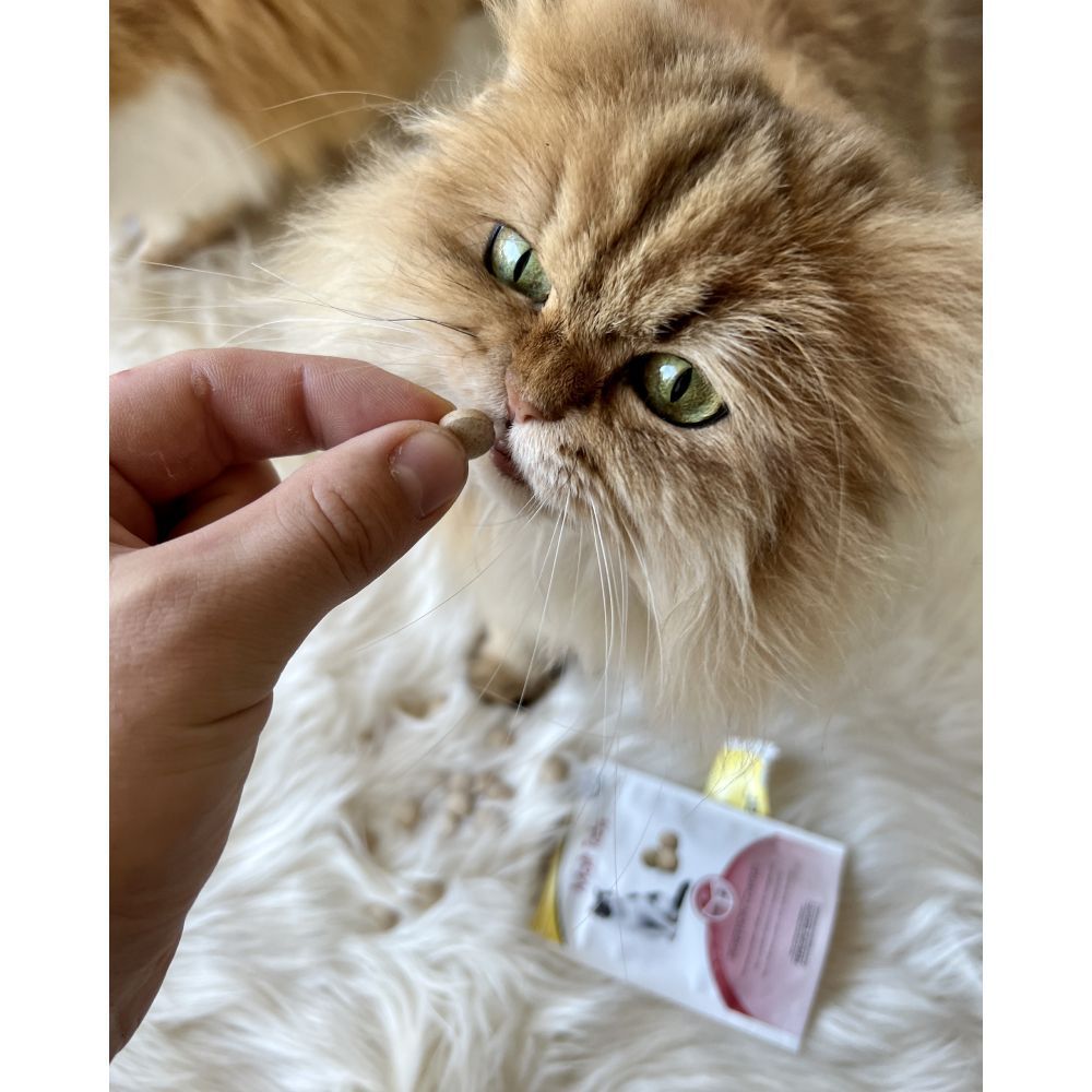 Лакомства для кошек GimCat Malt Tabs 40 г - ассорти Лакомства для кошек GimCat Malt Tabs 40 г - ассорти