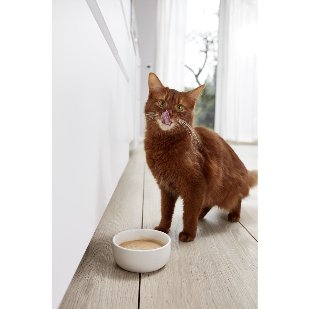 Пудинг для котів GimCat Pudding 150 г Пудинг для котів GimCat Pudding 150 г