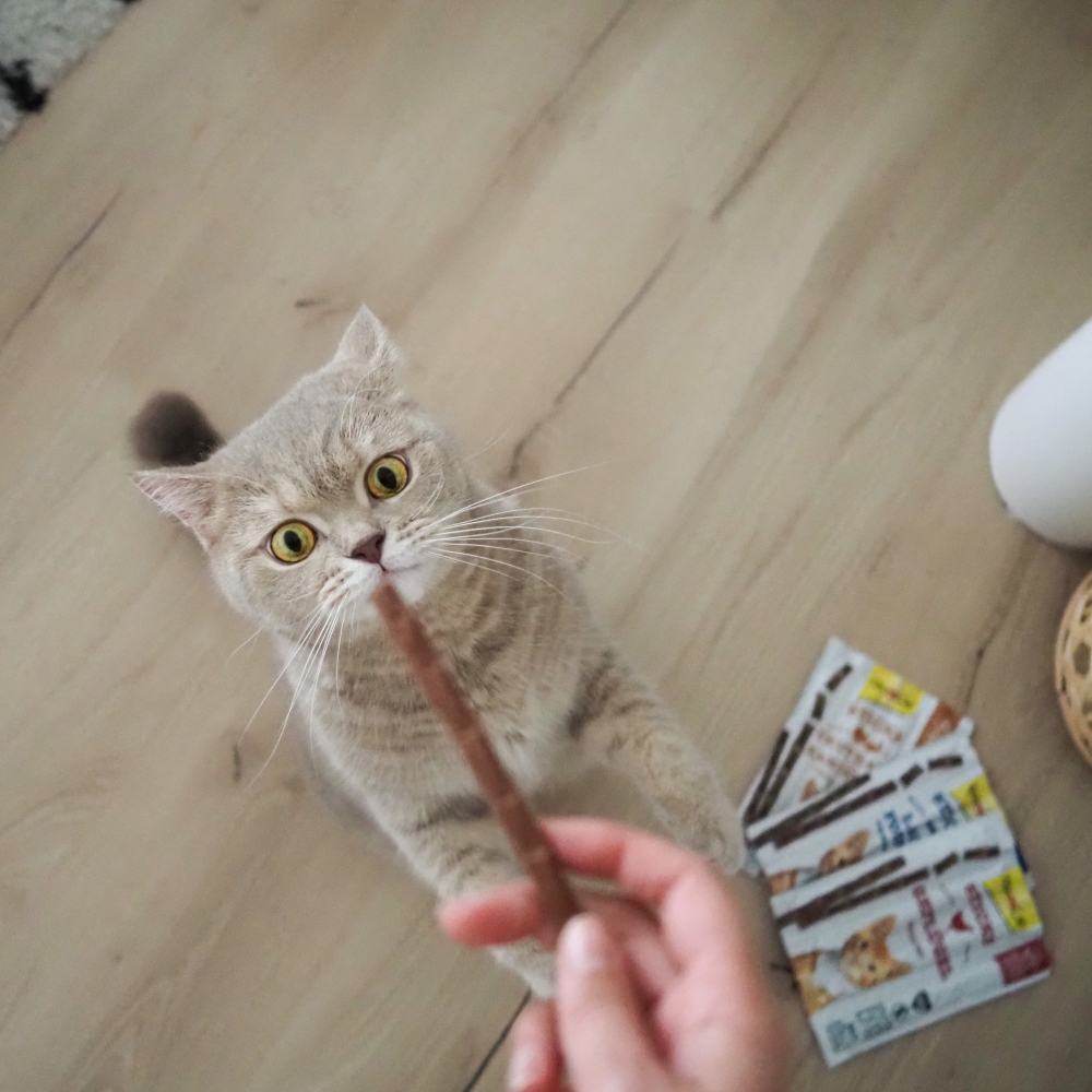 Ласощі для котів GimCat Sticks 4 шт - домашня птиця Ласощі для котів GimCat Sticks 4 шт - домашня птиця