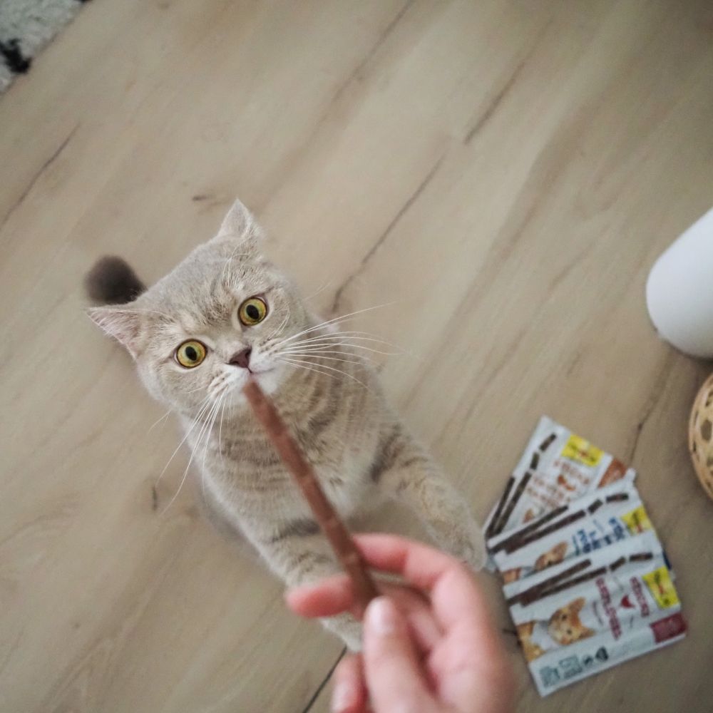Ласощі для котів GimCat Sticks 4 шт - індичка та кролик Ласощі для котів GimCat Sticks 4 шт - індичка та кролик