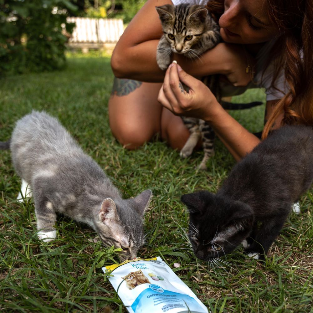 Лакомства для котят GimCat Kitten Tabs 40 г - ассорти Лакомства для котят GimCat Kitten Tabs 40 г - ассорти