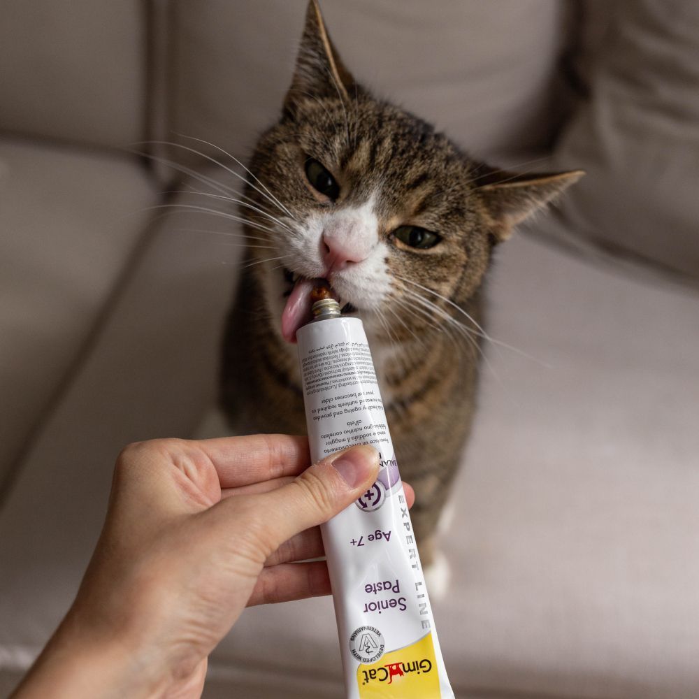 Ласощі для котів GimCat Expert Line Senior Paste 50 г - мультивітамін