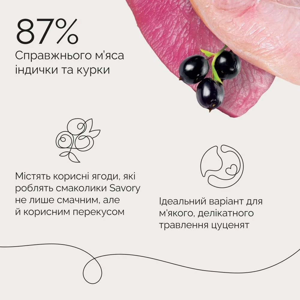 Ласощі для цуценят Savory Puppy Turkey Coins 100 г - індичка