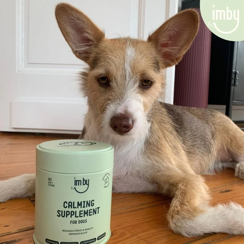 Imby Calming Supplement добавка для заспокоєння та зняття стресу собак 270 г Imby Calming Supplement добавка для заспокоєння та зняття стресу собак 270 г