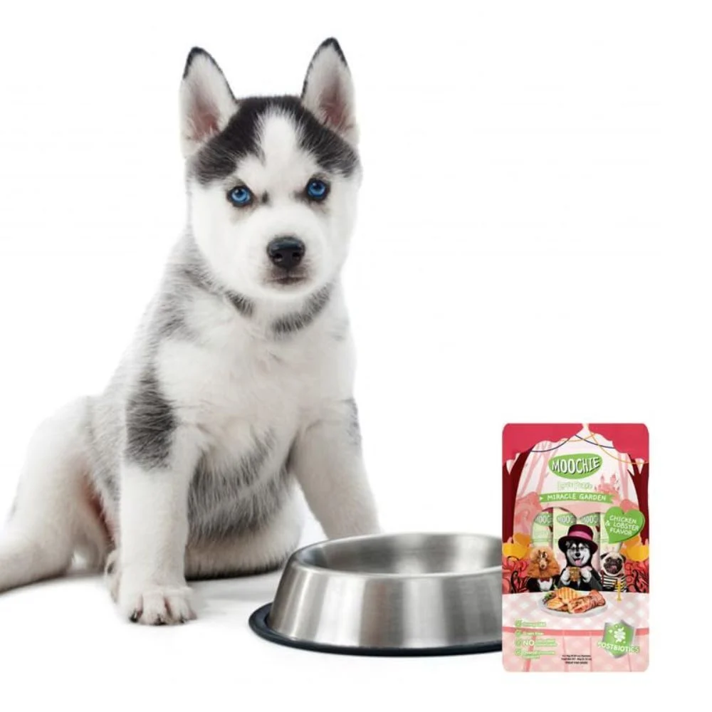 Лакомство для собак Moochie Love Puree Miracle Garden 4 шт х 15 г - курица и лобстер Лакомство для собак Moochie Love Puree Miracle Garden 4 шт х 15 г - курица и лобстер