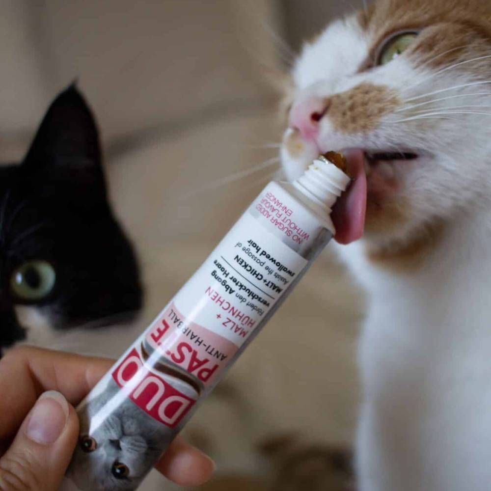 Ласощі для котів GimCat Duo Paste Anti-hairboll 50 г - курка Ласощі для котів GimCat Duo Paste Anti-hairboll 50 г - курка