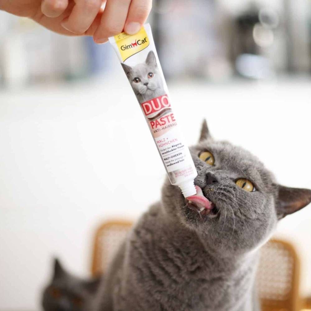 Ласощі для котів GimCat Duo Paste Anti-hairboll 50 г - курка Ласощі для котів GimCat Duo Paste Anti-hairboll 50 г - курка