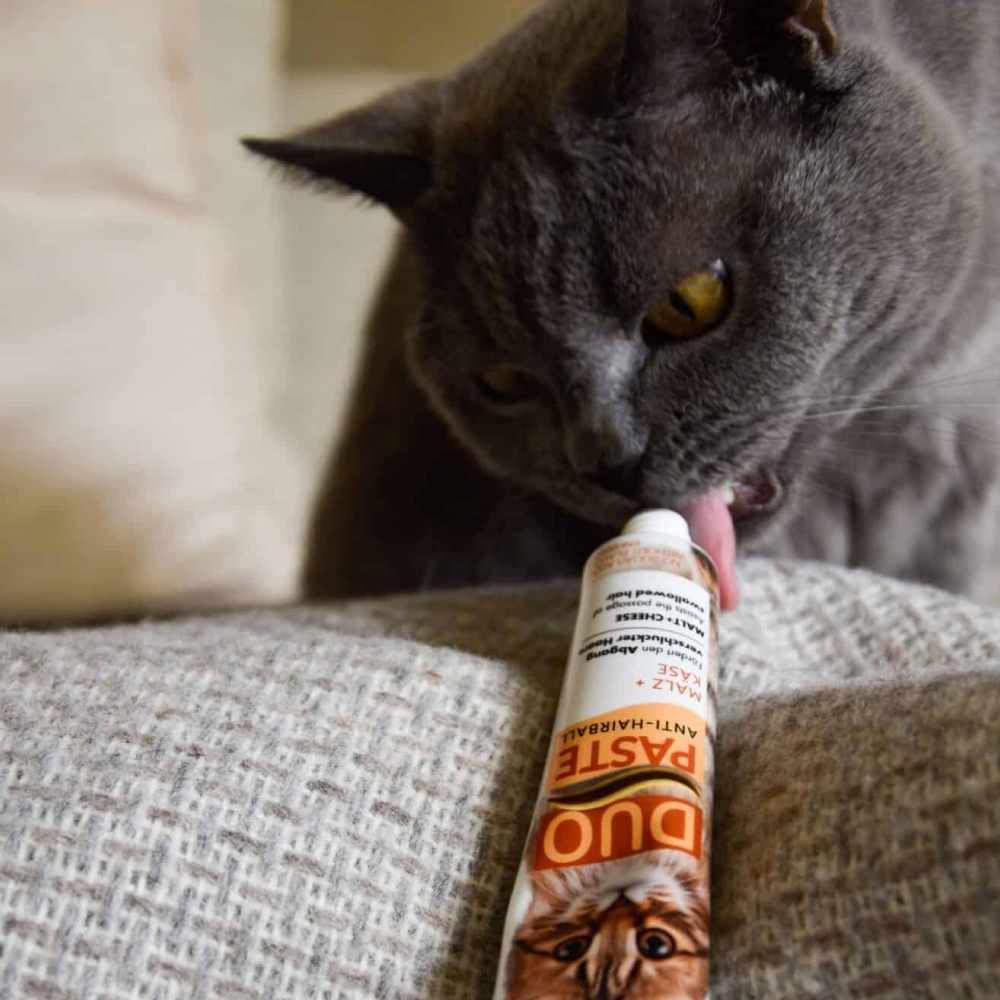 Ласощі для котів GimCat Duo Paste Anti-hairboll 50 г - сир Ласощі для котів GimCat Duo Paste Anti-hairboll 50 г - сир