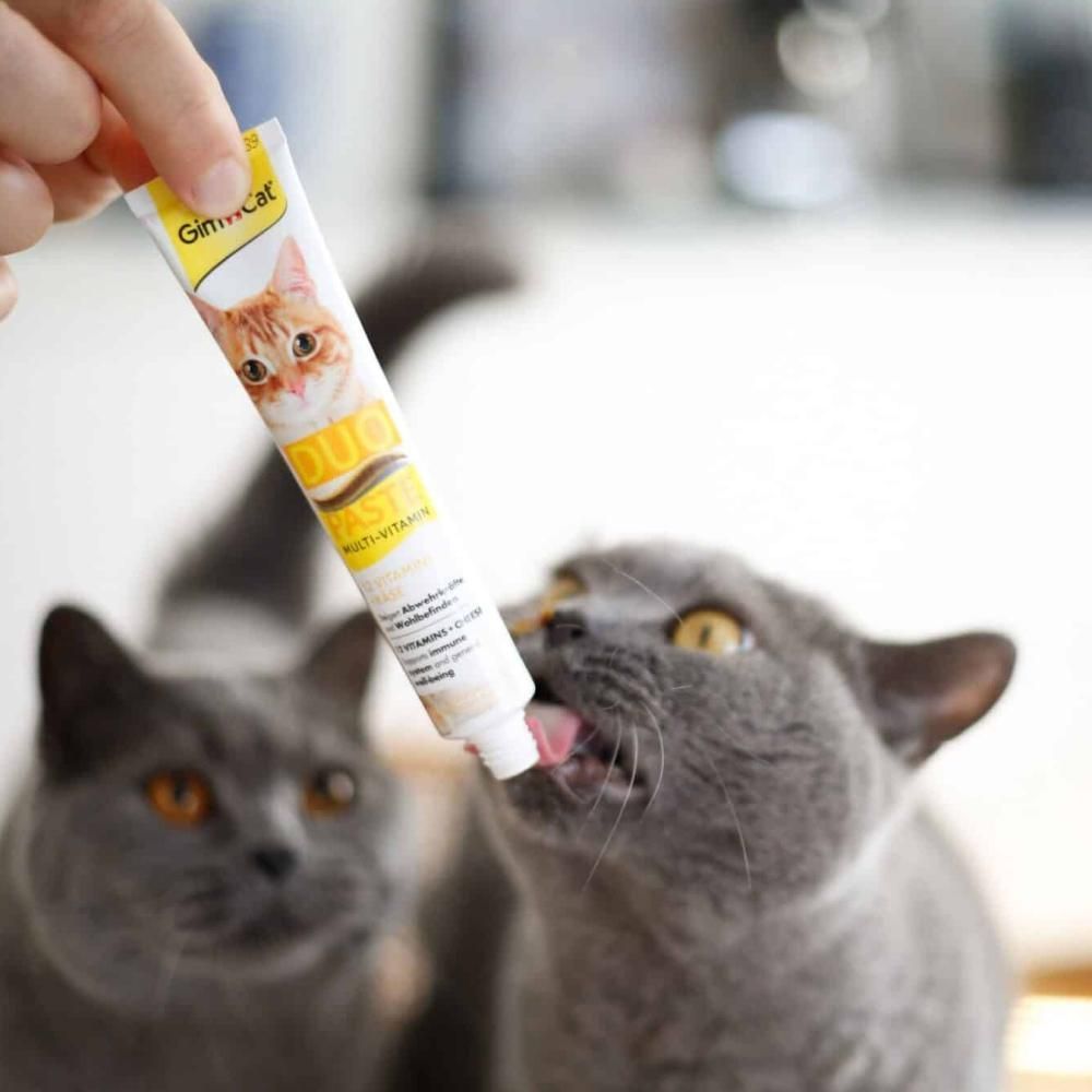 Ласощі для котів GimCat Duo Paste Multi-vitamin 12 vitamins 50 г - сир