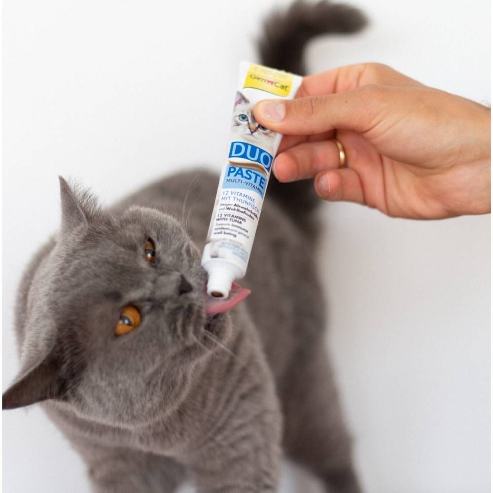 Лакомство для кошек GimCat Duo Paste Multi-vitamin 12 vitamins 50 г - тунец Лакомство для кошек GimCat Duo Paste Multi-vitamin 12 vitamins 50 г - тунец