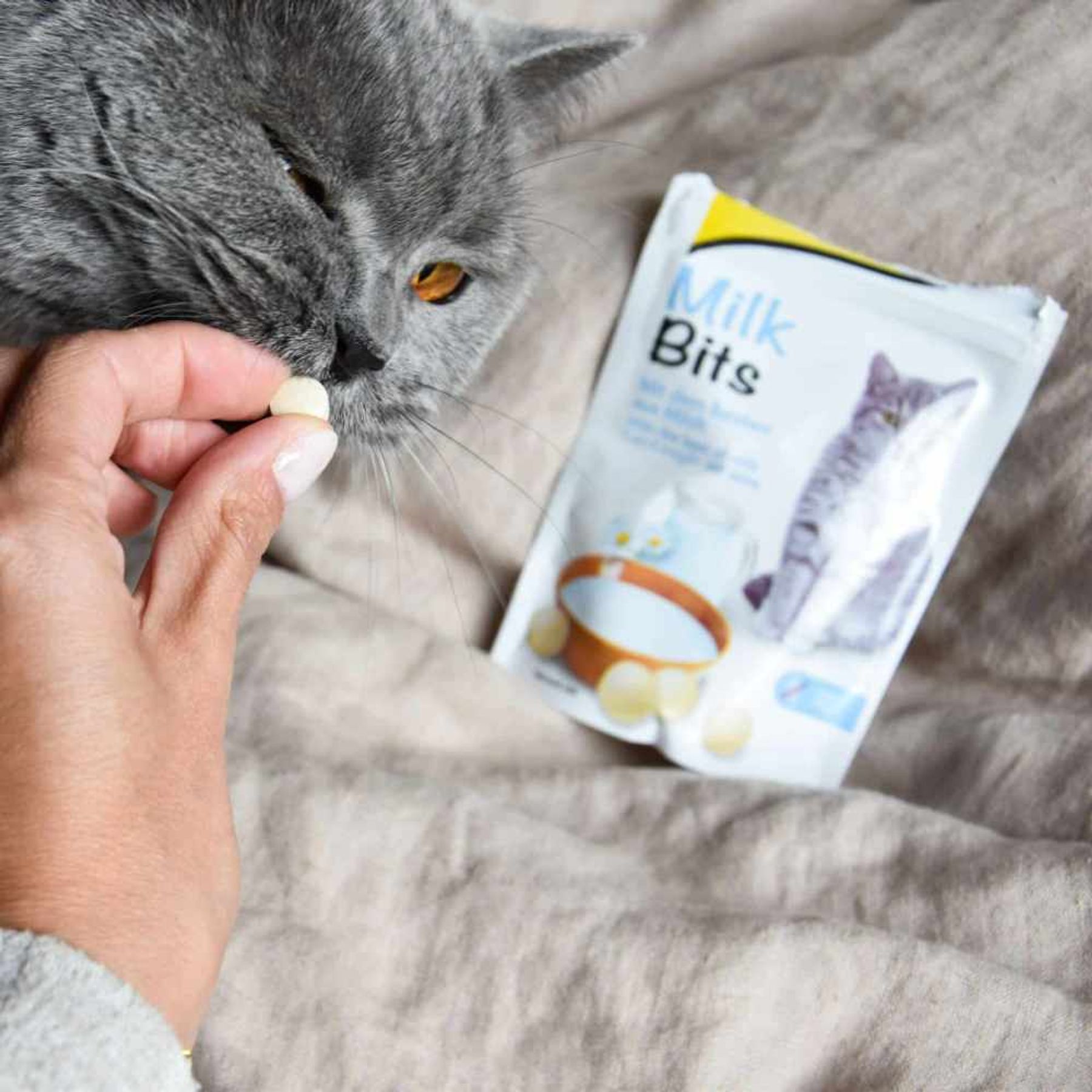 Ласощі для котів GimCat Milk Bits 40 г - молоко Ласощі для котів GimCat Milk Bits 40 г - молоко