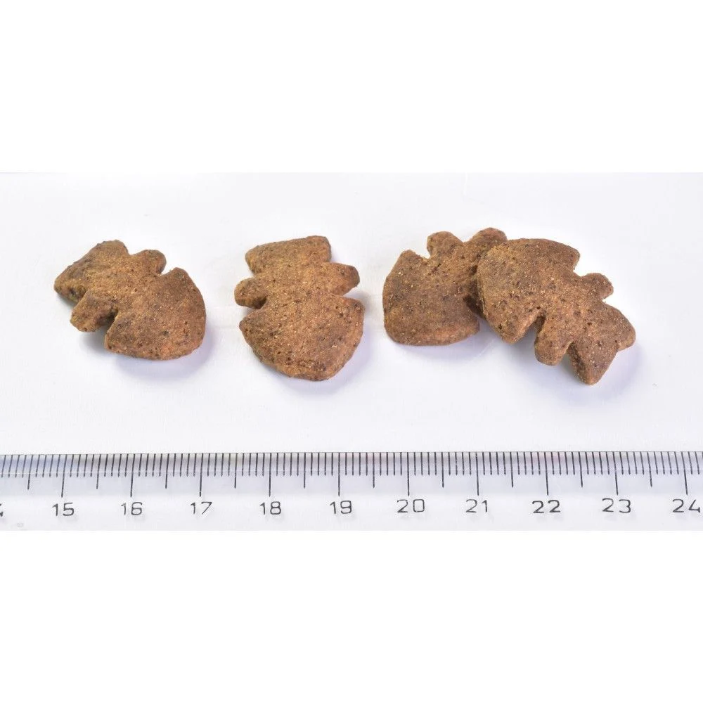 Лакомства для собак Brit Care Dog Crunchy Cracker 200 г — насекомые, тунец и мята