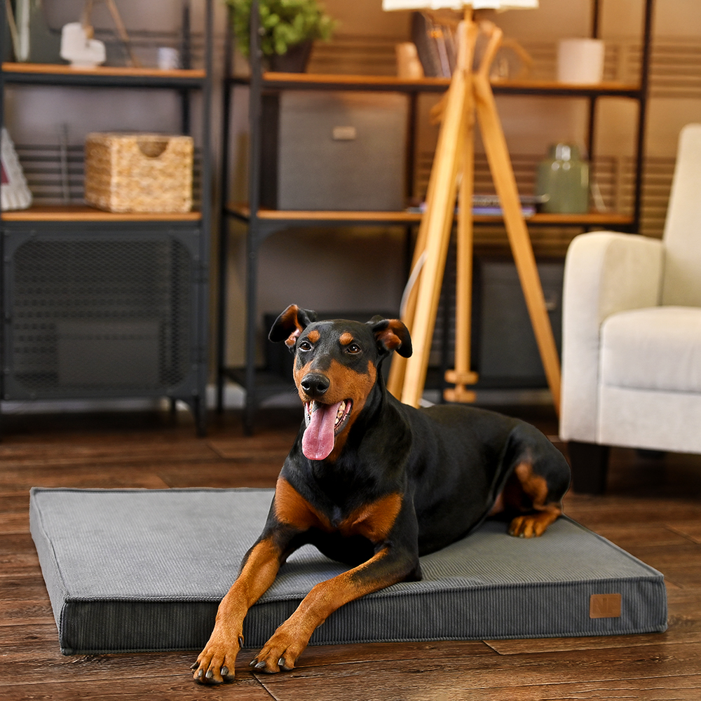 Матрац для собак Noble Pet Nolan Velvet 100х80 см - сірий