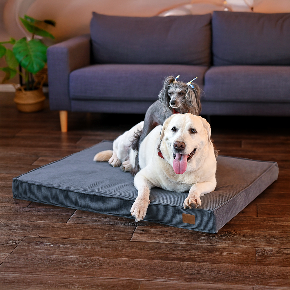 Матрац для собак Noble Pet Nolan Velvet 100х80 см - сірий