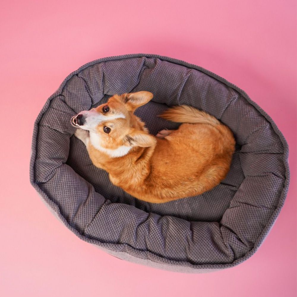 Лежак для собак Harley and Cho Donut Soft Touch Gray L 90 х 70 см Лежак для собак Harley and Cho Donut Soft Touch Gray L 90 х 70 см