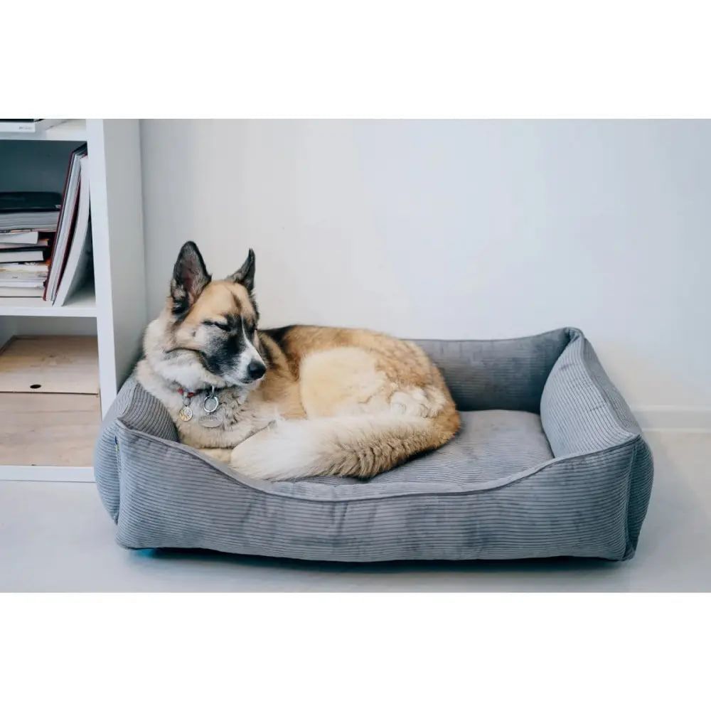 Лежак для собак Harley and Cho Dreamer Gray Velvet S 60 x 45 см Лежак для собак Harley and Cho Dreamer Gray Velvet S 60 x 45 см