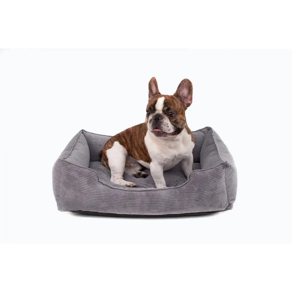 Лежак для собак Harley and Cho Dreamer Gray Velvet S 60 x 45 см Лежак для собак Harley and Cho Dreamer Gray Velvet S 60 x 45 см