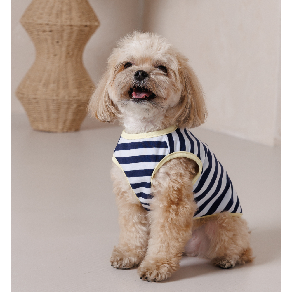 Майка для собак Pet Fashion Tropic XXS - біло-синій Майка для собак Pet Fashion Tropic XXS - біло-синій