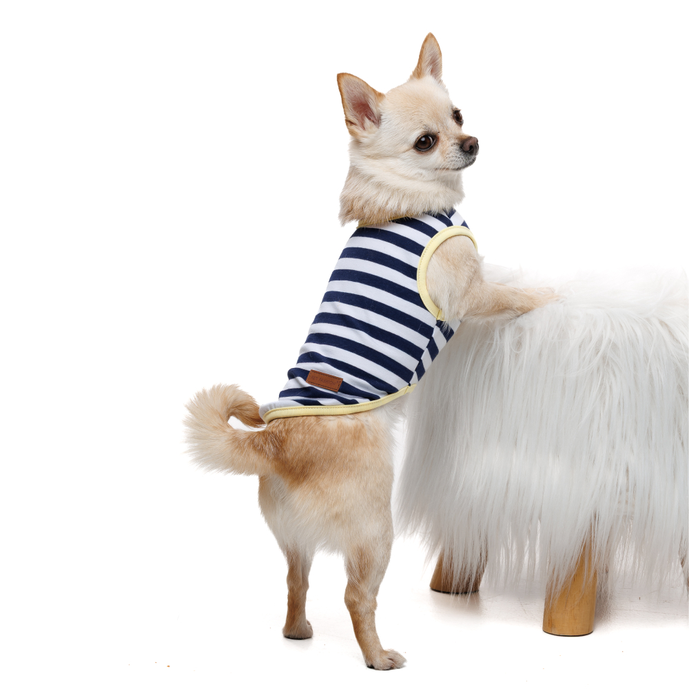 Майка для собак Pet Fashion Tropic XXS - біло-синій Майка для собак Pet Fashion Tropic XXS - біло-синій