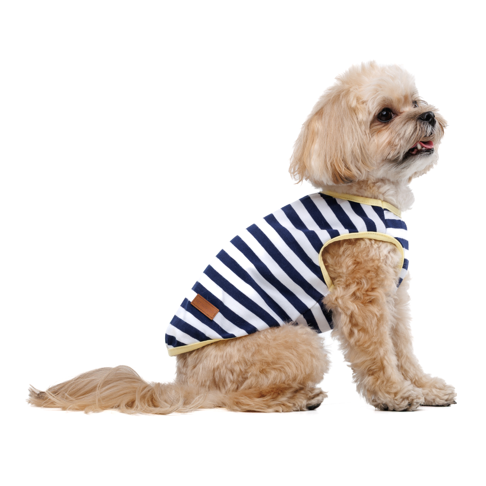 Майка для собак Pet Fashion Tropic XXS - біло-синій Майка для собак Pet Fashion Tropic XXS - біло-синій