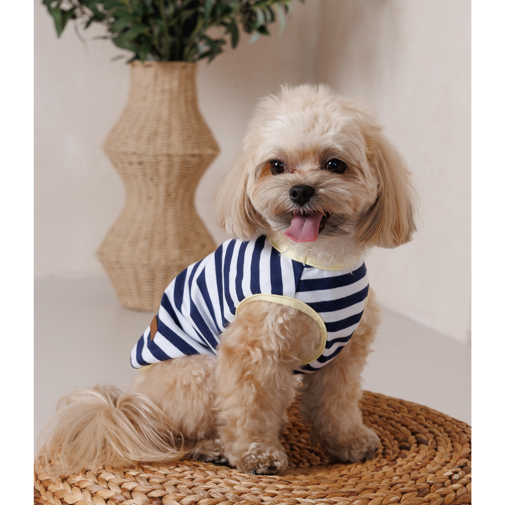 Майка для собак Pet Fashion Tropic XXS - біло-синій Майка для собак Pet Fashion Tropic XXS - біло-синій