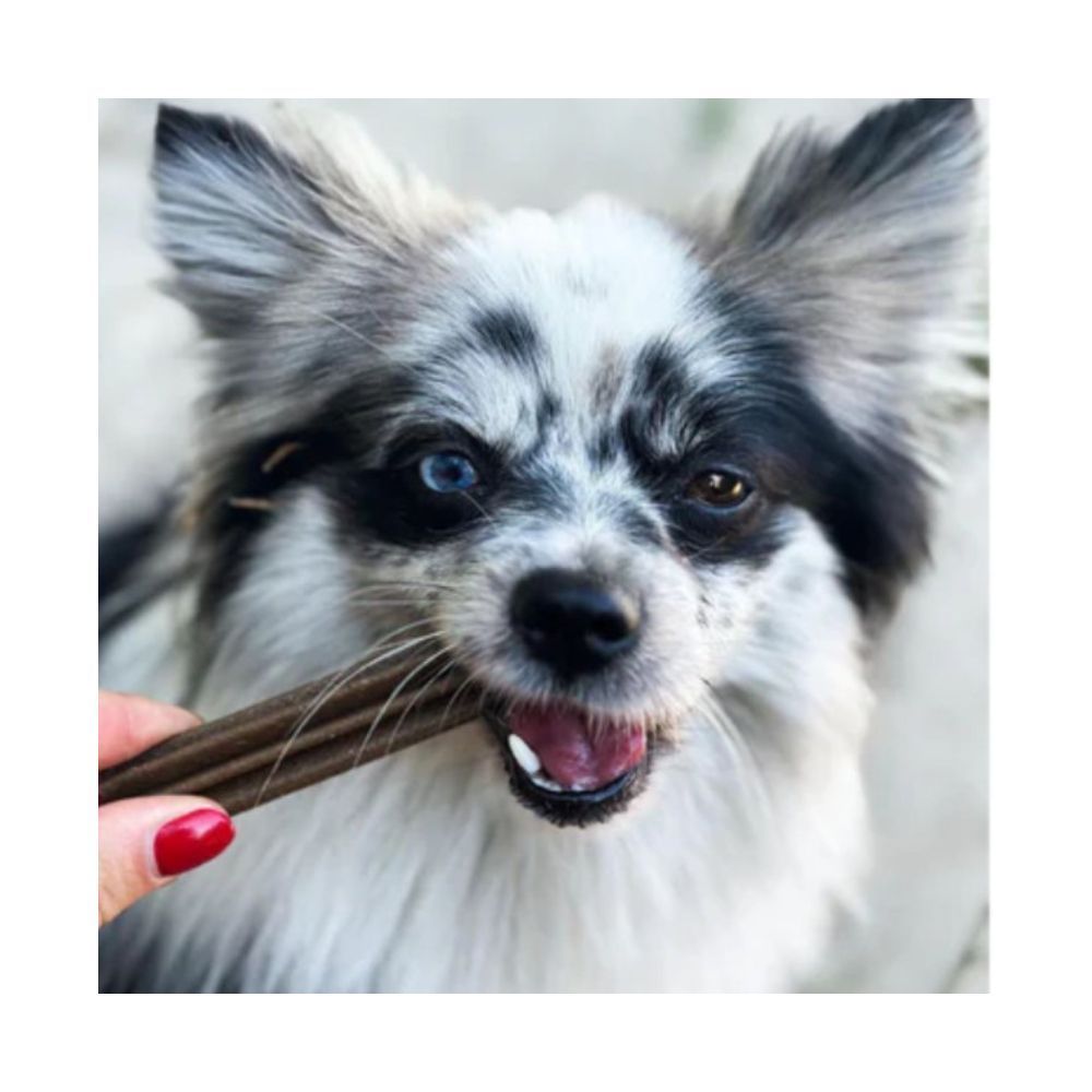 Лакомства для собак Marly & Dan Dental Small Breed 100 г - лосось Лакомства для собак Marly & Dan Dental Small Breed 100 г - лосось
