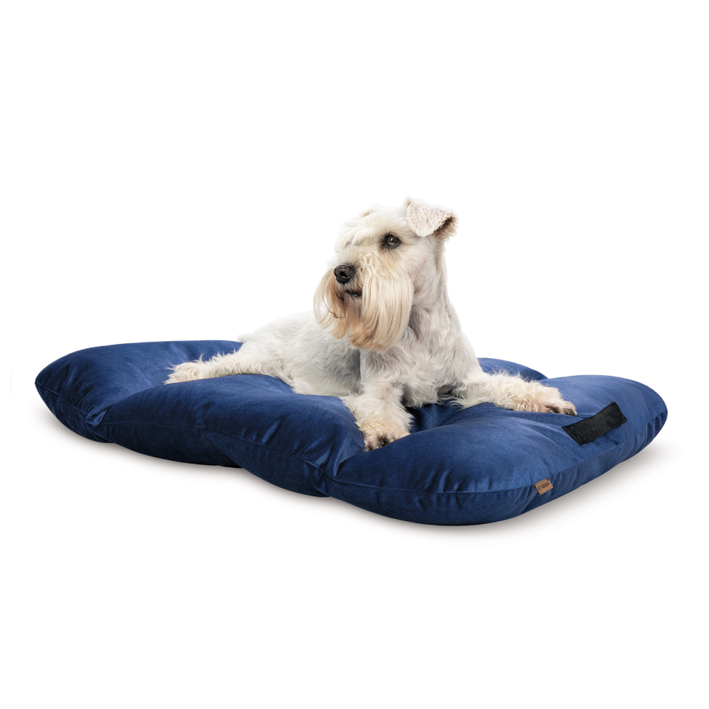 Матрац для котів Pet Fashion Kevin 1 50х40х18 см - синій