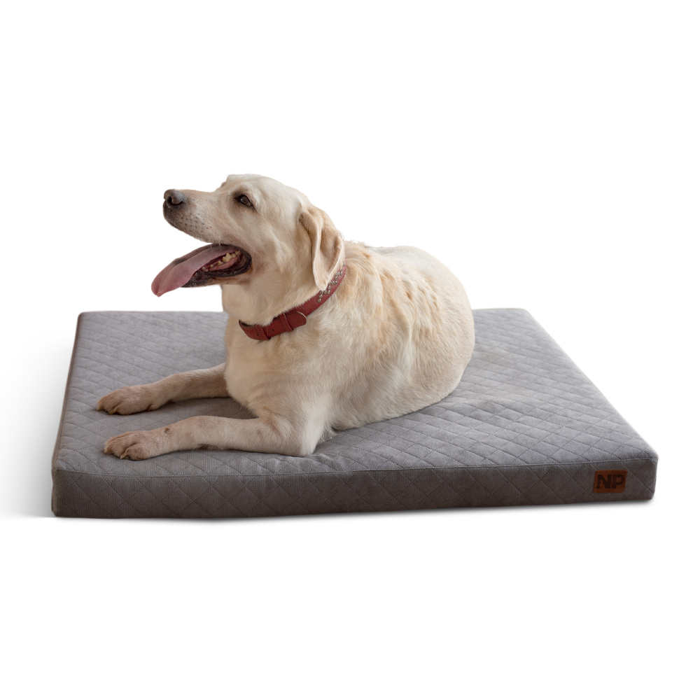 Матрац для собак Noble Pet Nolan 100 х 80 х 8 см Матрац для собак Noble Pet Nolan 100 х 80 х 8 см