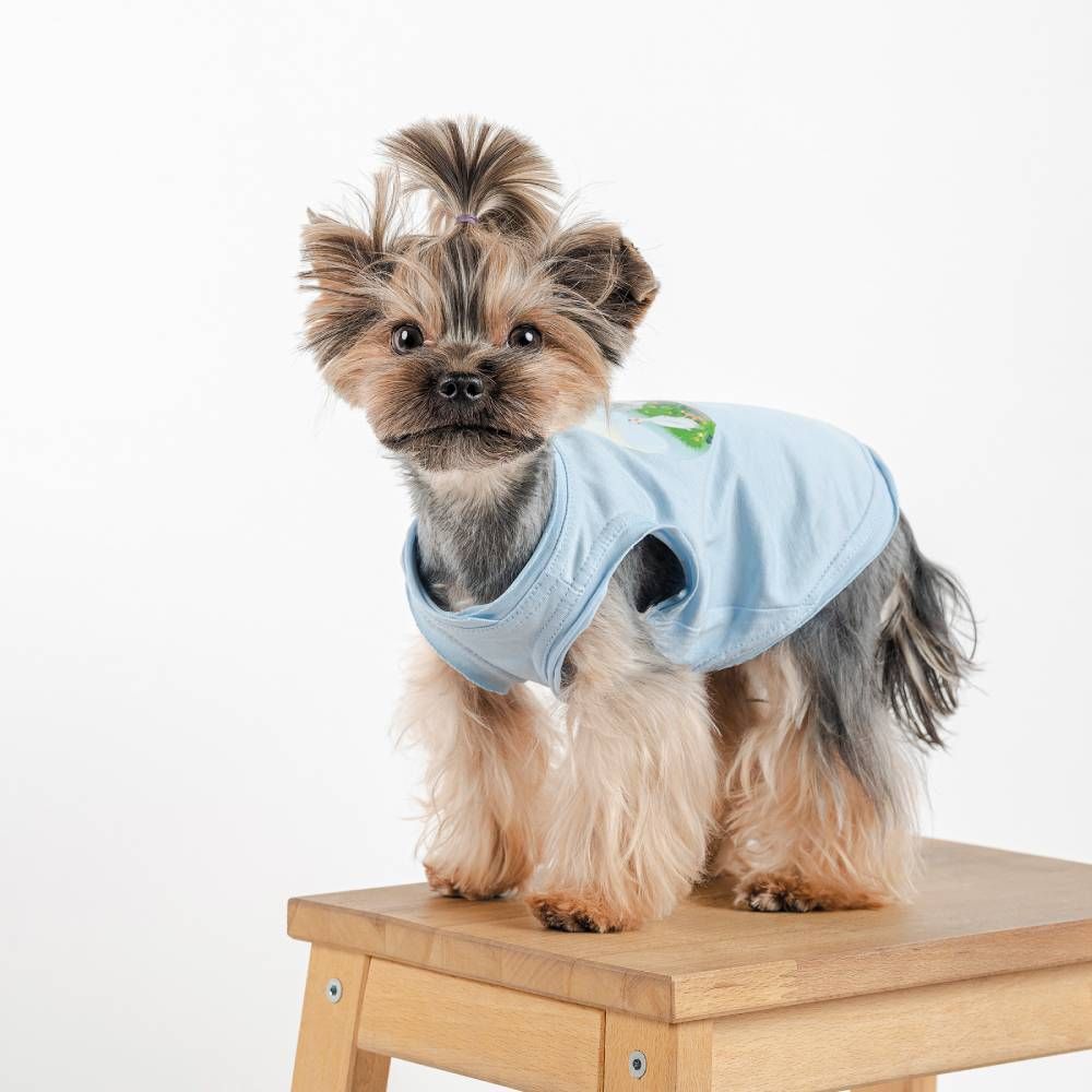 Pet Fashion Adam майка для собак XS Pet Fashion Adam майка для собак XS