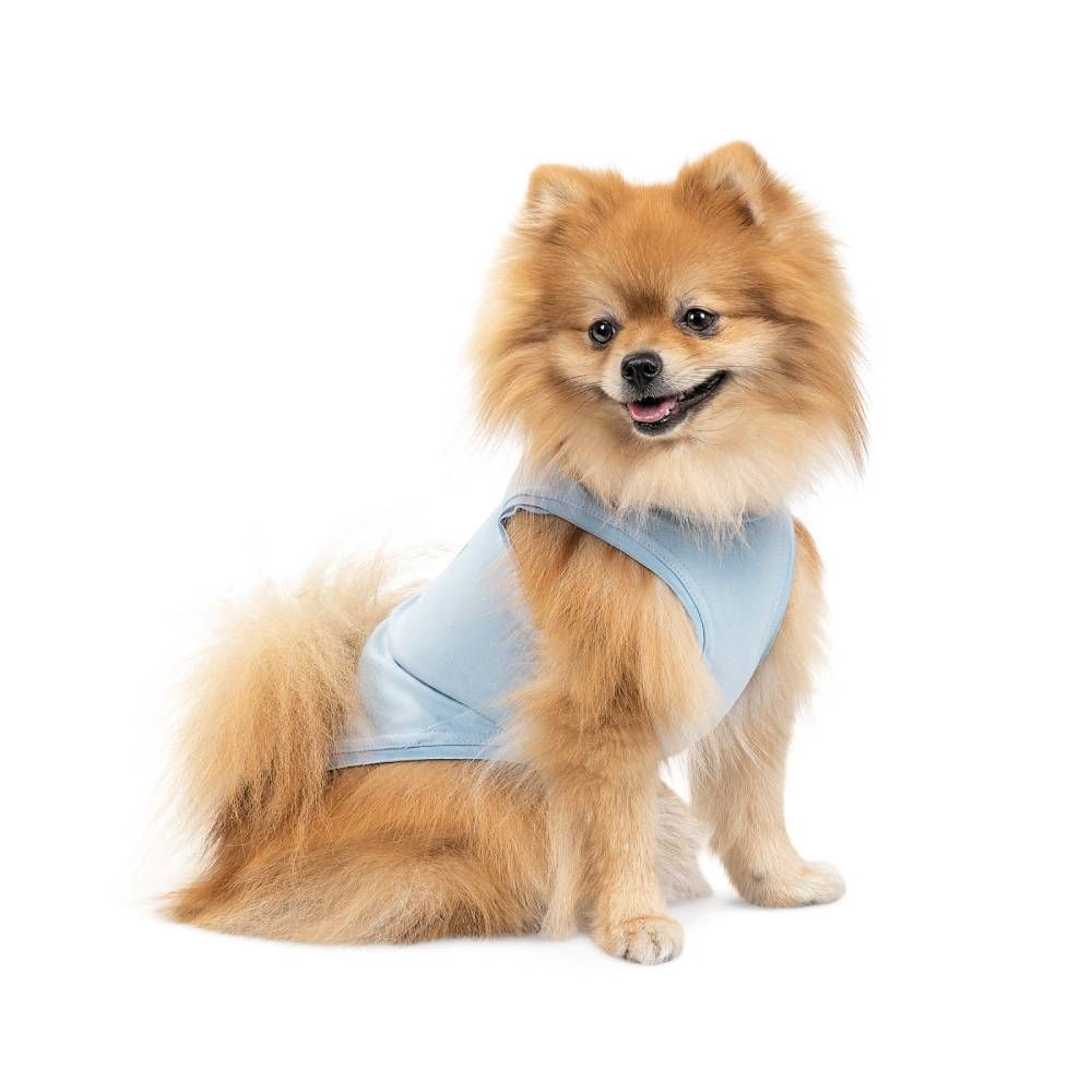 Pet Fashion Adam майка для собак XS Pet Fashion Adam майка для собак XS