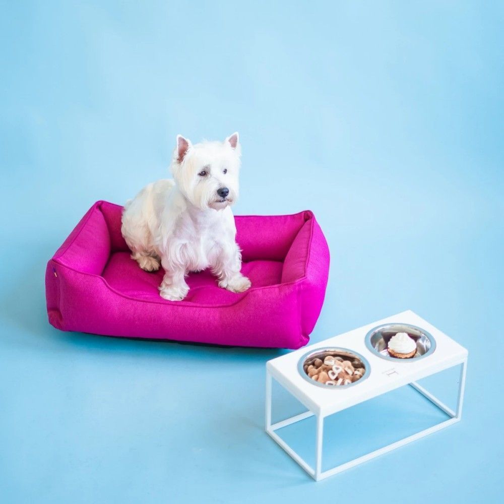 Миски на підставці Harley and Cho Lunch Bar White Wood + White S 2 х 450 мл / 12 см Миски на підставці Harley and Cho Lunch Bar White Wood + White S 2 х 450 мл / 12 см