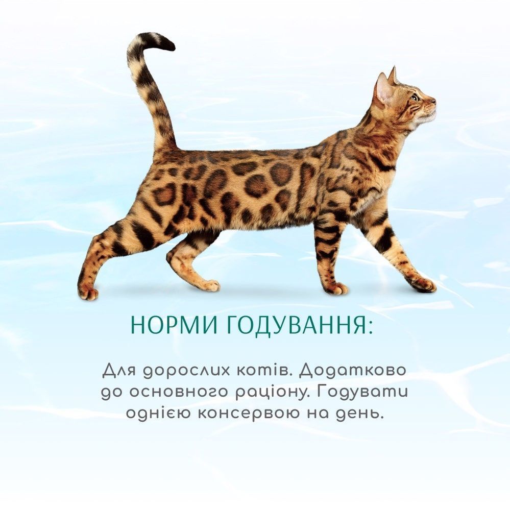 Набір вологого корму для котів Optimeal Beauty Adult 3+1 шт х 70 г - асорті Набір вологого корму для котів Optimeal Beauty Adult 3+1 шт х 70 г - асорті