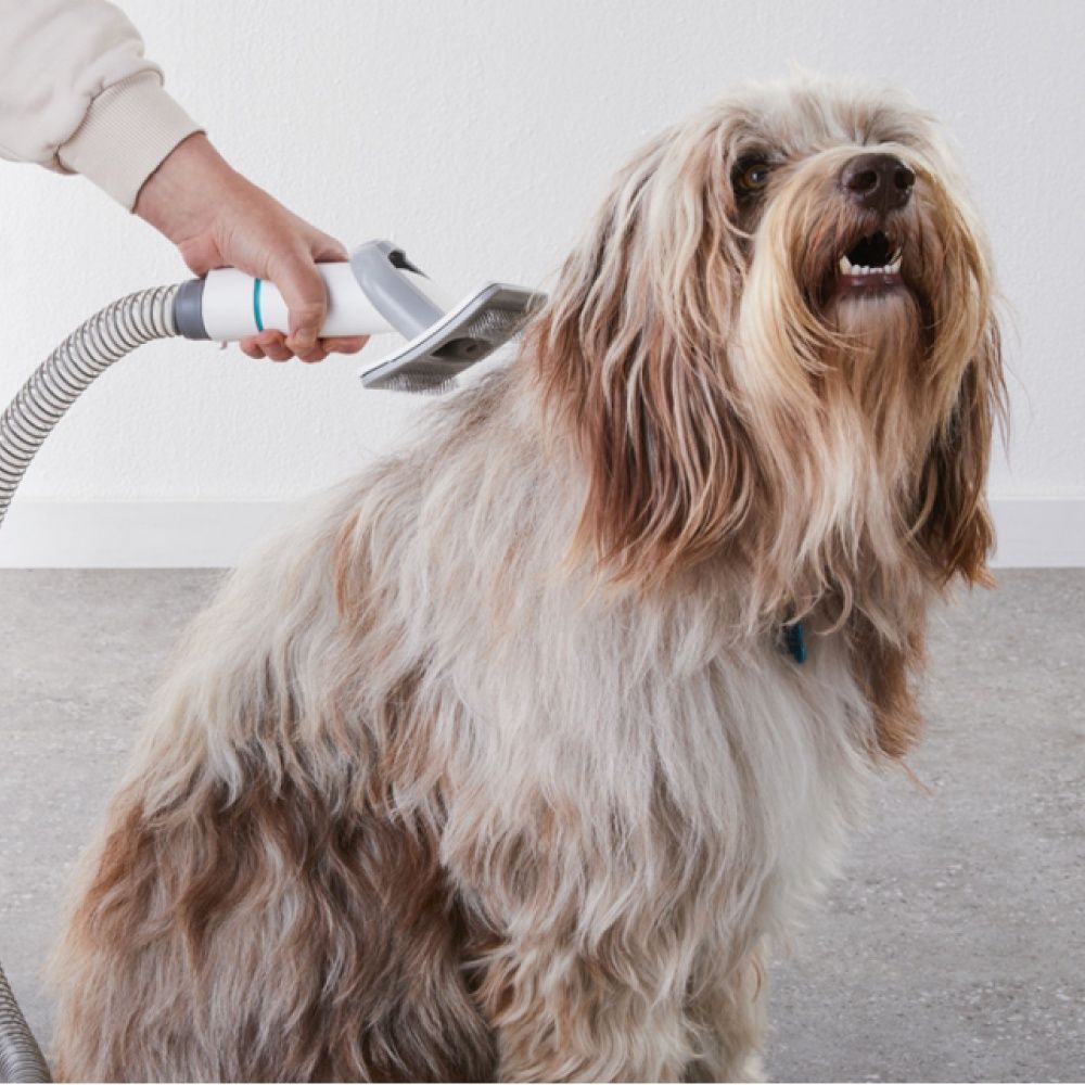Набір для догляду за котами 5-в-1 Petkit Grooming Vacuum Kit Набір для догляду за котами 5-в-1 Petkit Grooming Vacuum Kit