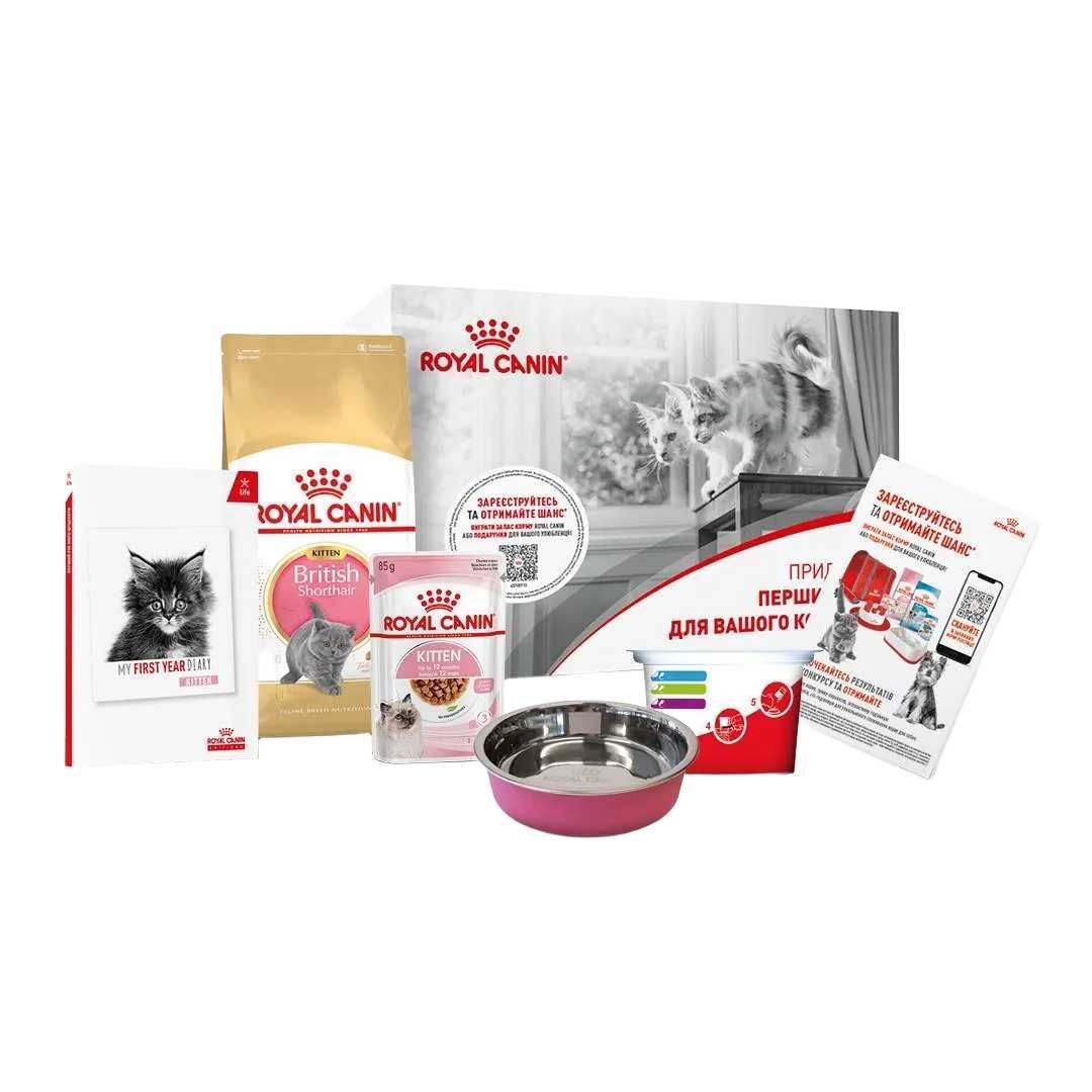 Набір сухого та вологого корму для кошенят Royal Canin Kitten British Shorthair 400 г + 1 шт х 85 г