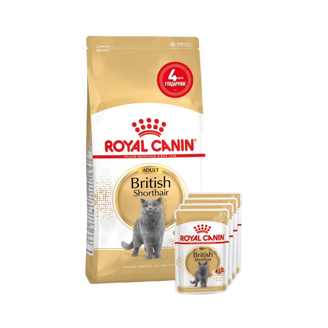 Набір сухого та вологого корму для котів Royal Canin British Shorthair Adult 2 кг + 4 шт х 85 г Набір сухого та вологого корму для котів Royal Canin British Shorthair Adult 2 кг + 4 шт х 85 г