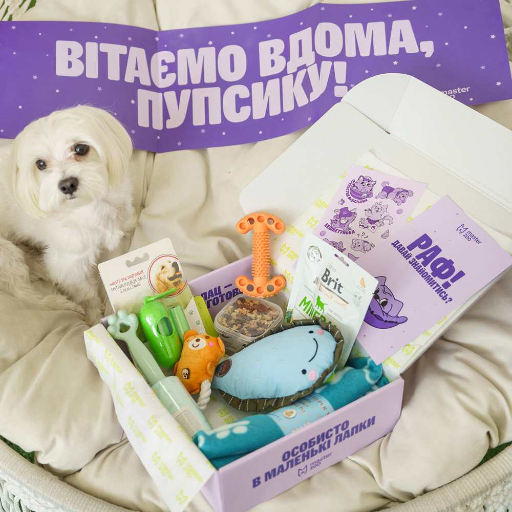 Набір Baby Box для собак