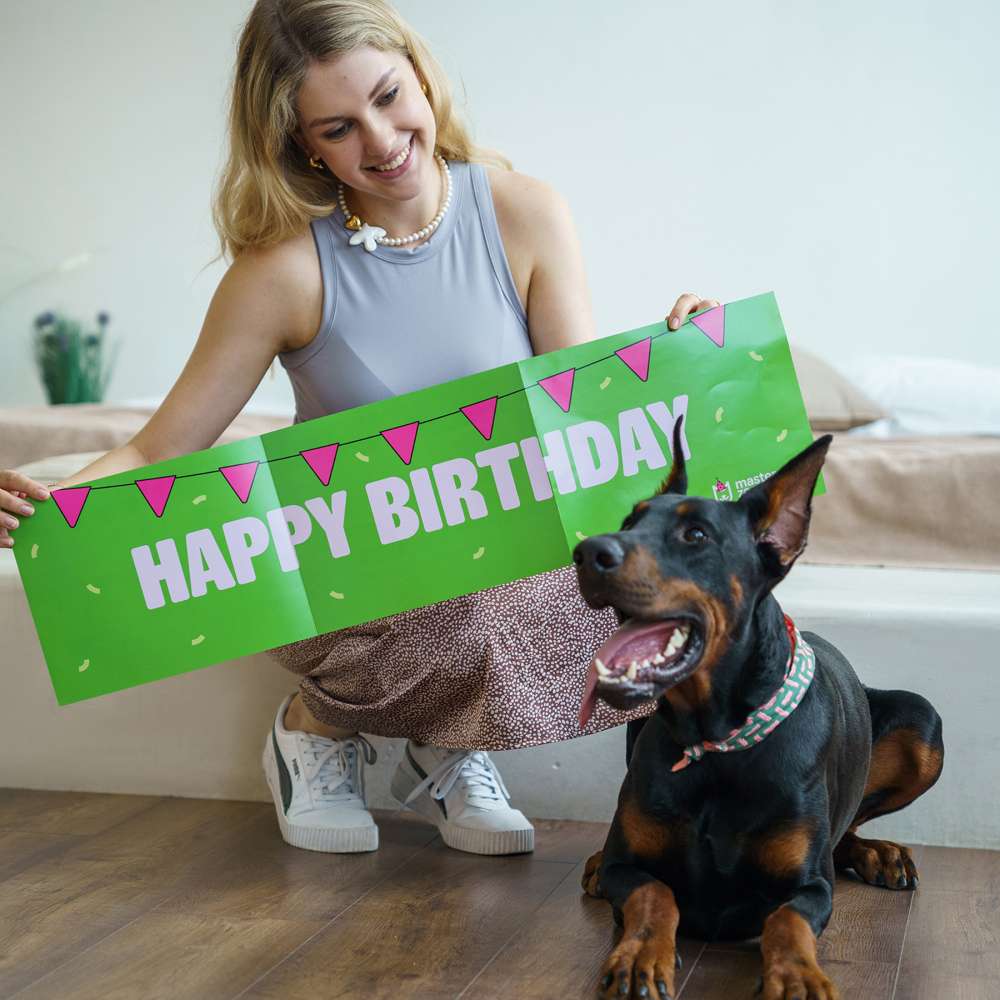 Набір Birthday Box для собак великих та середніх порід