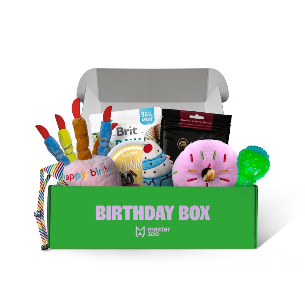 Набір Birthday Box для собак великих та середніх порід