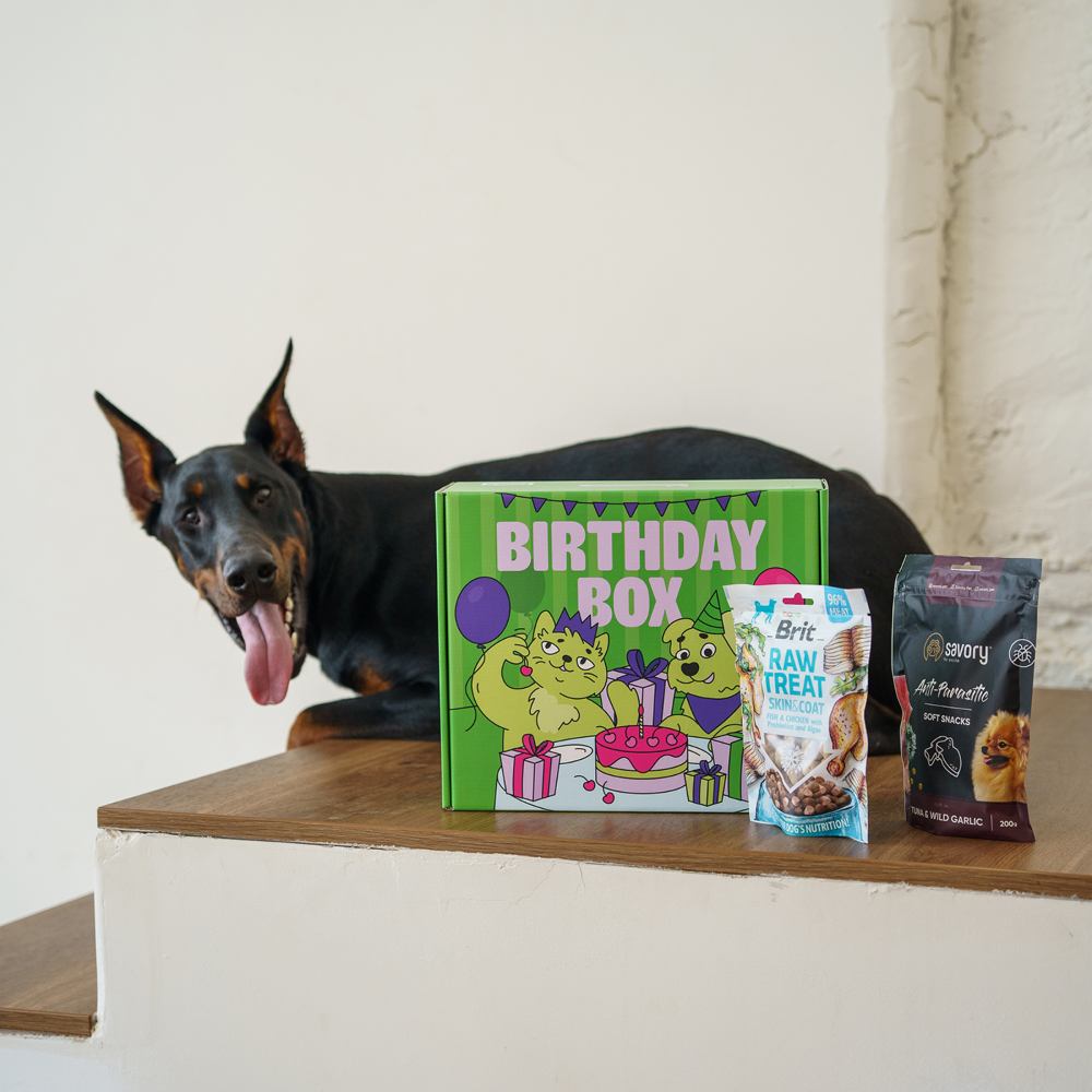 Набір Birthday Box для собак великих та середніх порід