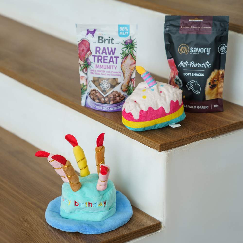 Набір Birthday Box для собак малих порід Набір Birthday Box для собак малих порід
