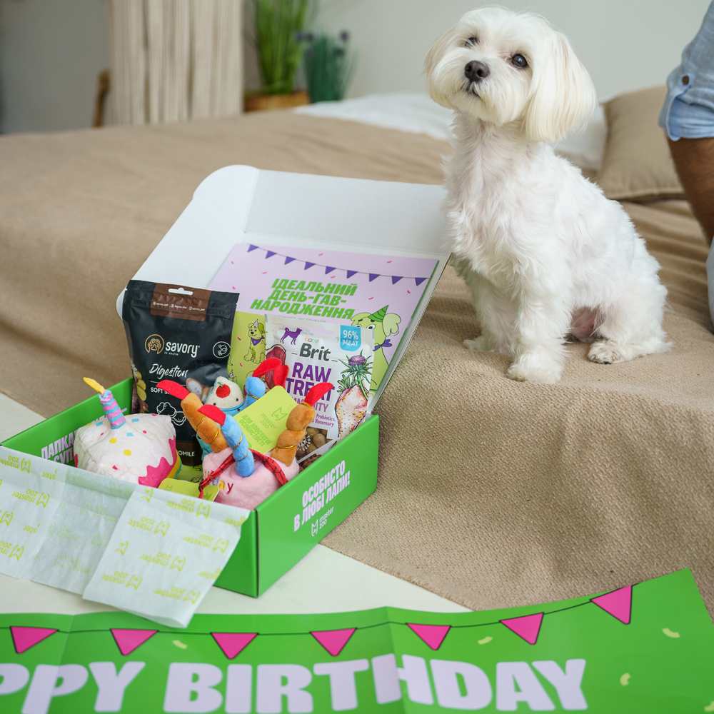 Набір Birthday Box для собак малих порід Набір Birthday Box для собак малих порід
