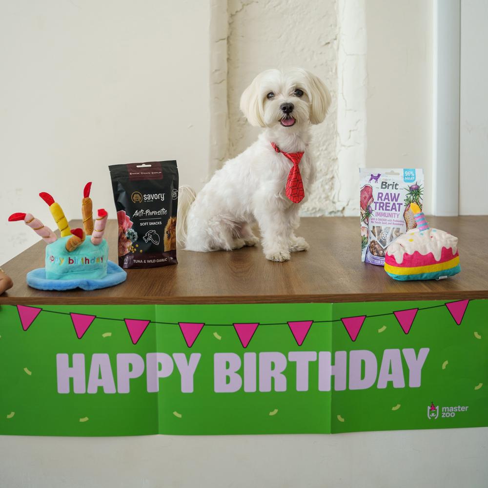 Набір Birthday Box для собак малих порід Набір Birthday Box для собак малих порід