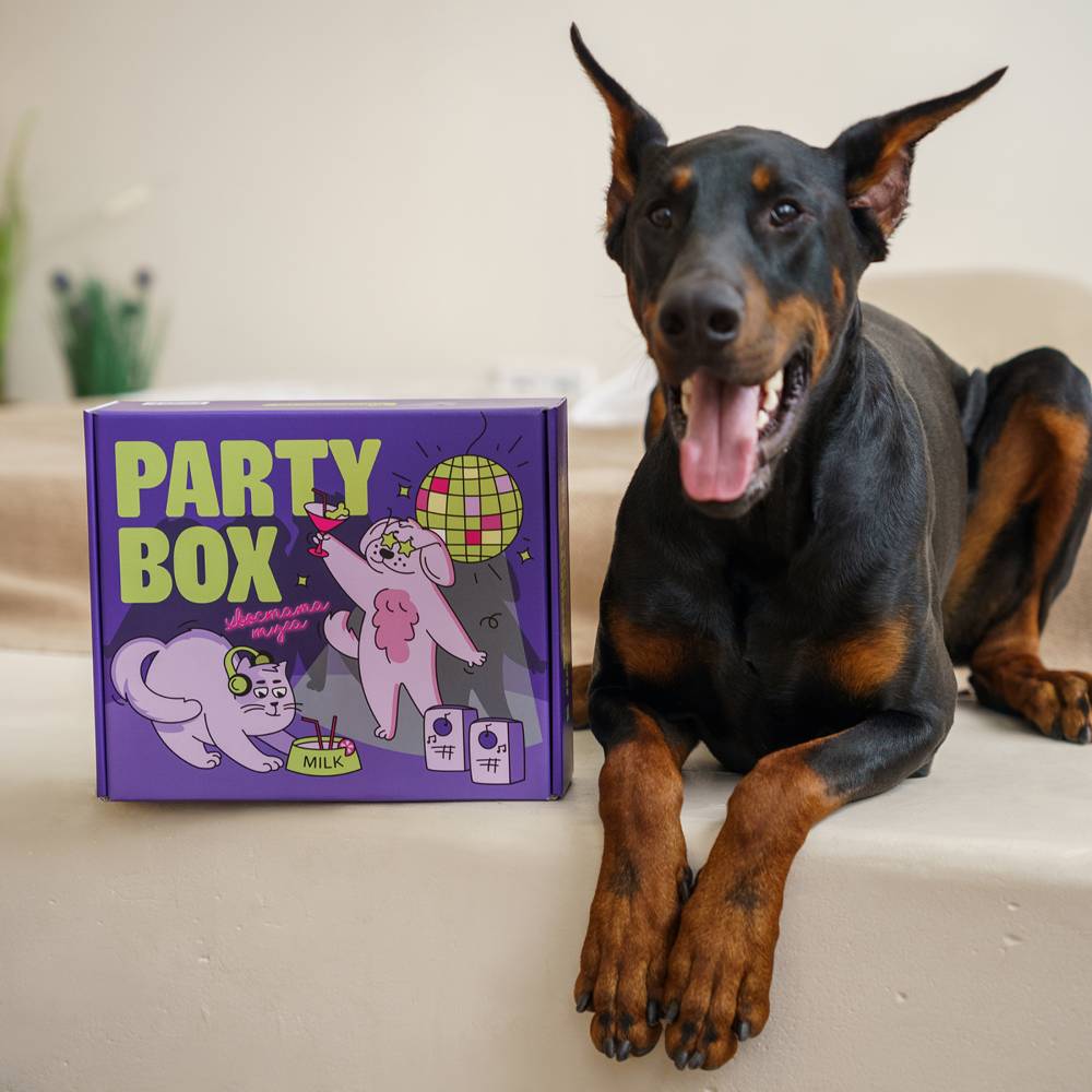Набір Party Box для собак великих та середніх порід
