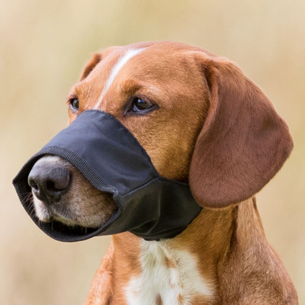 Trixie Muzzle Loop намордник для собак XXS - чорний Trixie Muzzle Loop намордник для собак XXS - чорний