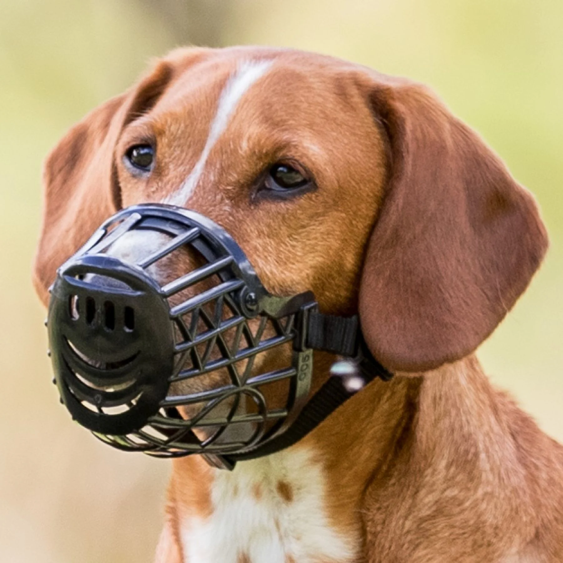 Trixie Muzzle намордник для собак XS - чорний