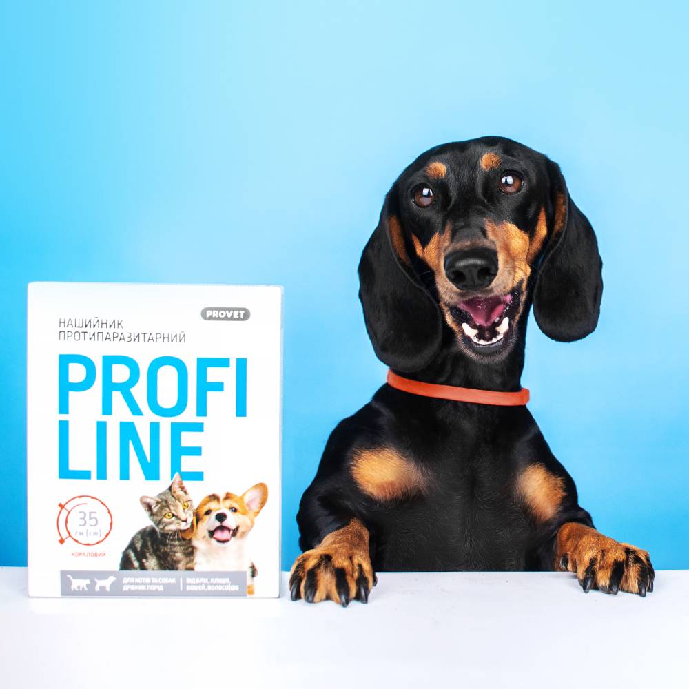 Нашийник для котів PROVET Profiline 35 см - кораловий Нашийник для котів PROVET Profiline 35 см - кораловий