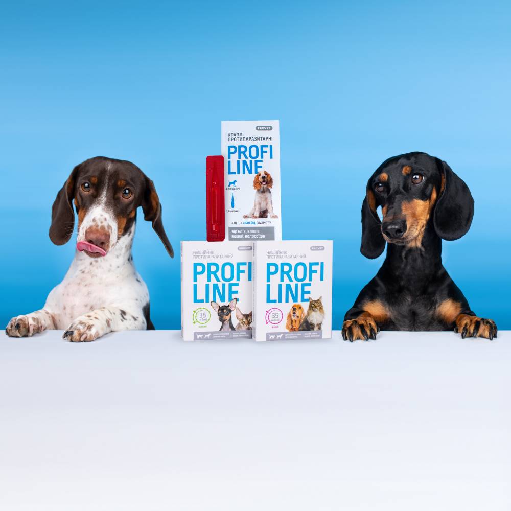Нашийник для котів PROVET Profiline 35 см - зелений