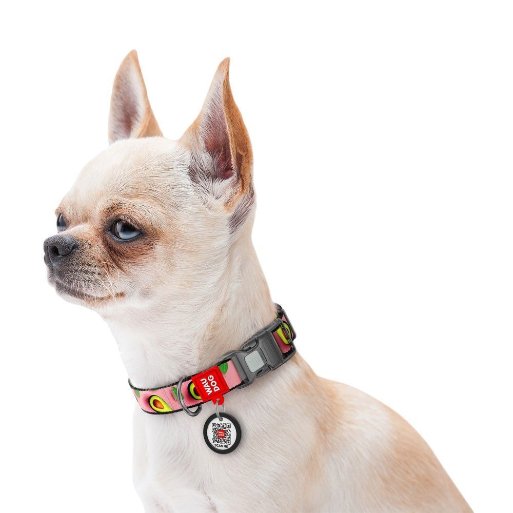 Нашийник для собак Collar WAUDOG Nylon M Нашийник для собак Collar WAUDOG Nylon M
