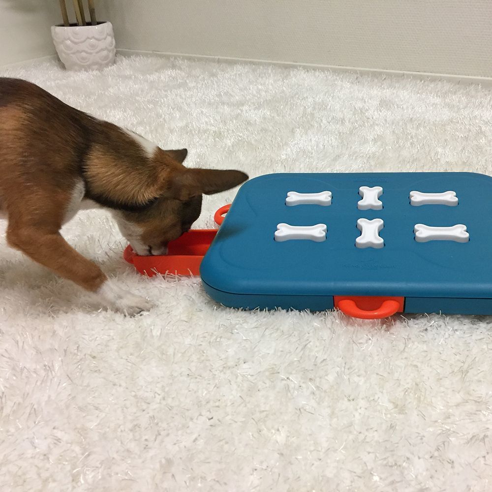 Nina Ottosson Dog Casino іграшка для собак 24,5х31,5х3,5 см - різнокольоровий
